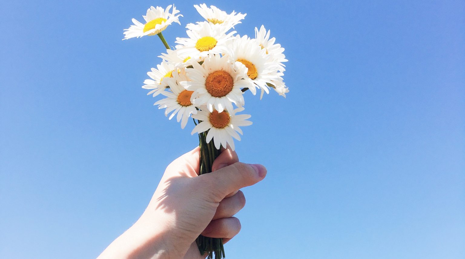 San Giorgio<br> Buon compleanno San Giorgio!