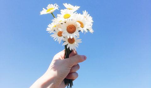 San Giorgio<br> Buon compleanno San Giorgio!