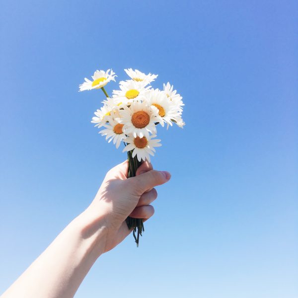 San Giorgio<br> Buon compleanno San Giorgio!