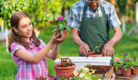 Nuova Fenice<br>Festa dei Nonni 2025