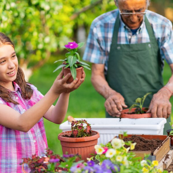 Nuova Fenice<br>Festa dei Nonni 2025