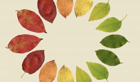 Heliopolis<br>Le stagioni della demenza<br>L’Autunno