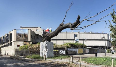 Bosco della Stella<br>pARTEcipiamo anche noi