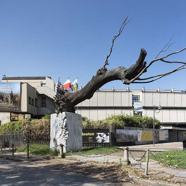 Bosco della Stella<br>pARTEcipiamo anche noi