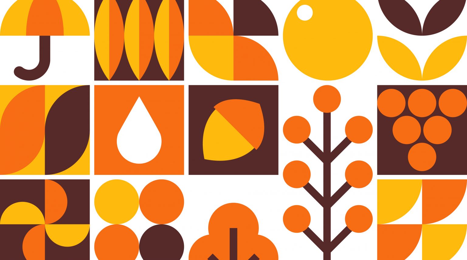 Saccardo<br>Novembre 2025