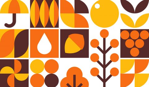 Saccardo<br>Novembre 2025