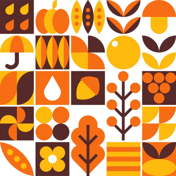 Saccardo<br>Novembre 2025