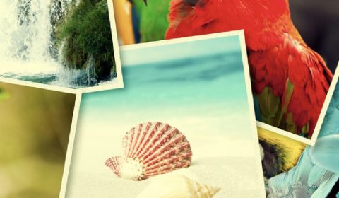 Heliopolis<br>Viaggi della memoria