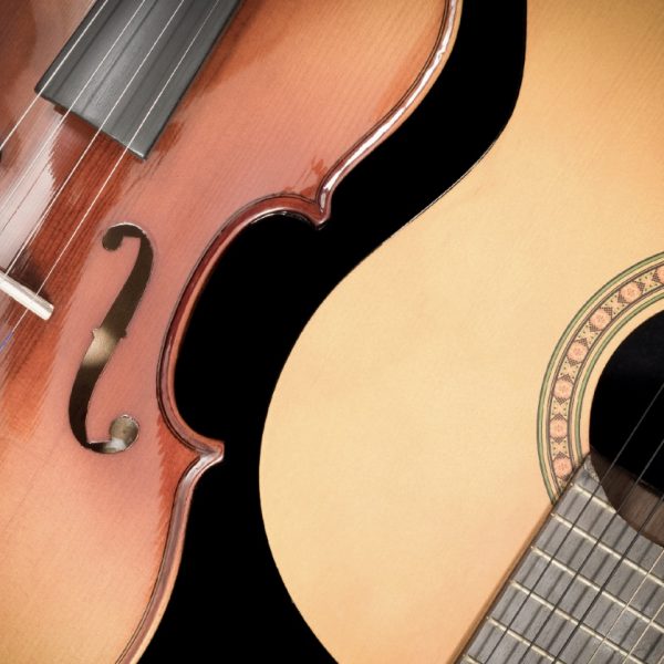 Villa Antea<br>…In musica