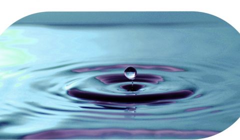 Vittoria<br>MAMI VOiCE