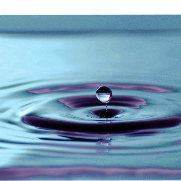 Vittoria<br>MAMI VOiCE