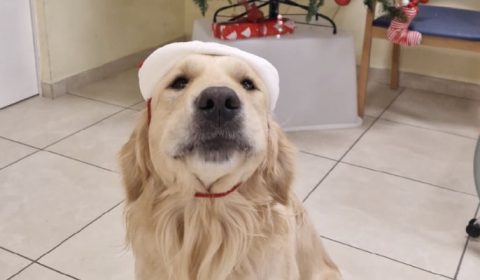 San Gabriele<br>Pet-Natale