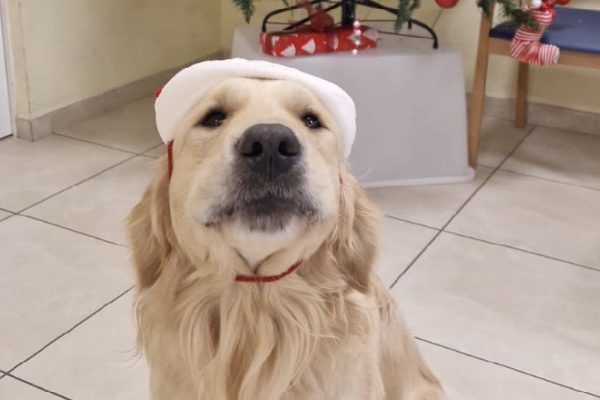 San Gabriele<br>Pet-Natale