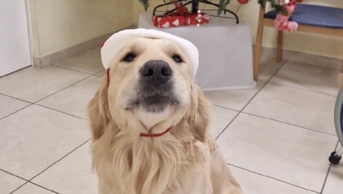 San Gabriele<br>Pet-Natale