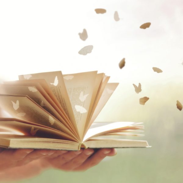 Villa Giovanna <br>In poesia…