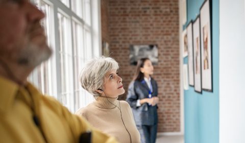 Bosco della Stella<br>Viaggio d’arte<br>Marzo 2026