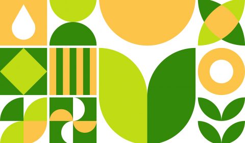 Croce di Malta <br>Aprile 2026