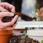 Santa Giulia e Chiara<br>Pomeriggio in giardino