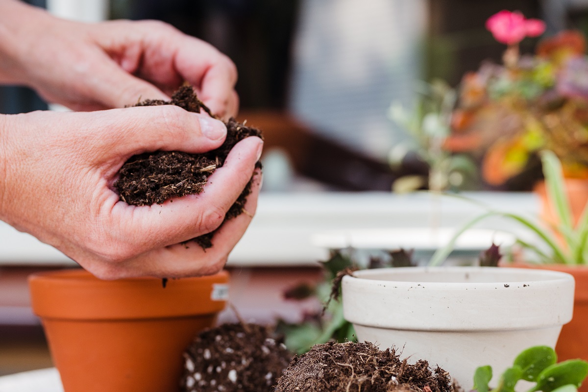 Santa Giulia e Chiara<br>Pomeriggio in giardino