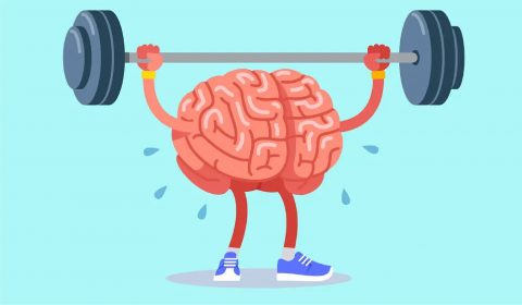 Saccardo<br>Olimpiadi del corpo e della mente