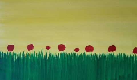 Bosco della Stella<br> Fiori di campo