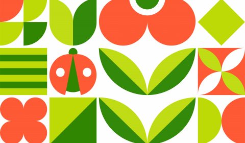 Sacra Famiglia<br>Maggio 2026