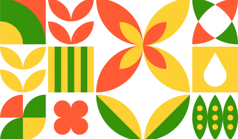 Santa Lucia <br>Giugno 2026