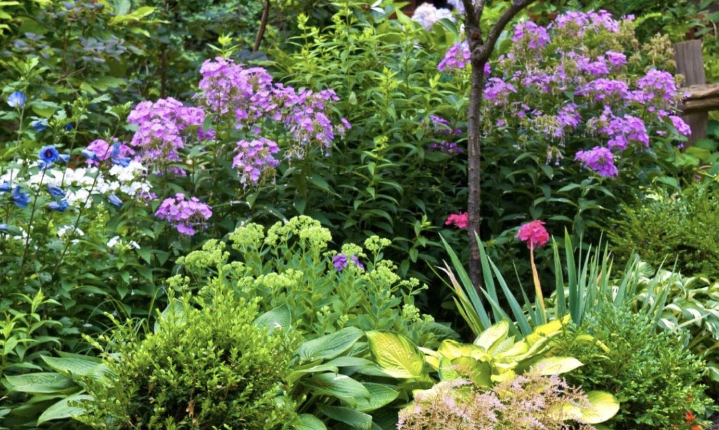 Ippocrate<br>Pranzi in giardino