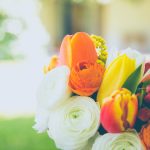 Villa Antea<br>26° Anniversario