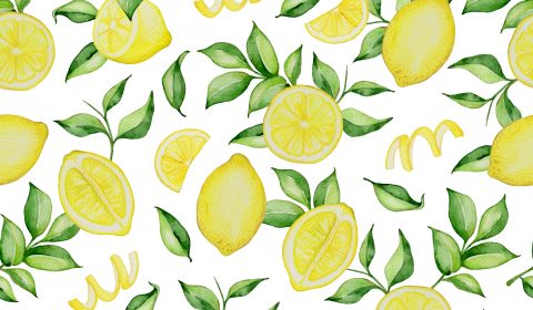Bosco della stella<br>Limonata Party