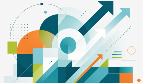 Frate Sole<br>Organizzazione e innovazione