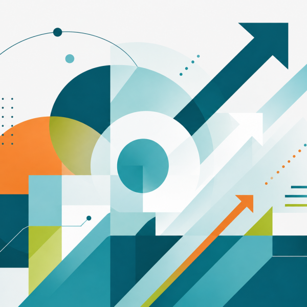 Frate Sole<br>Organizzazione e innovazione