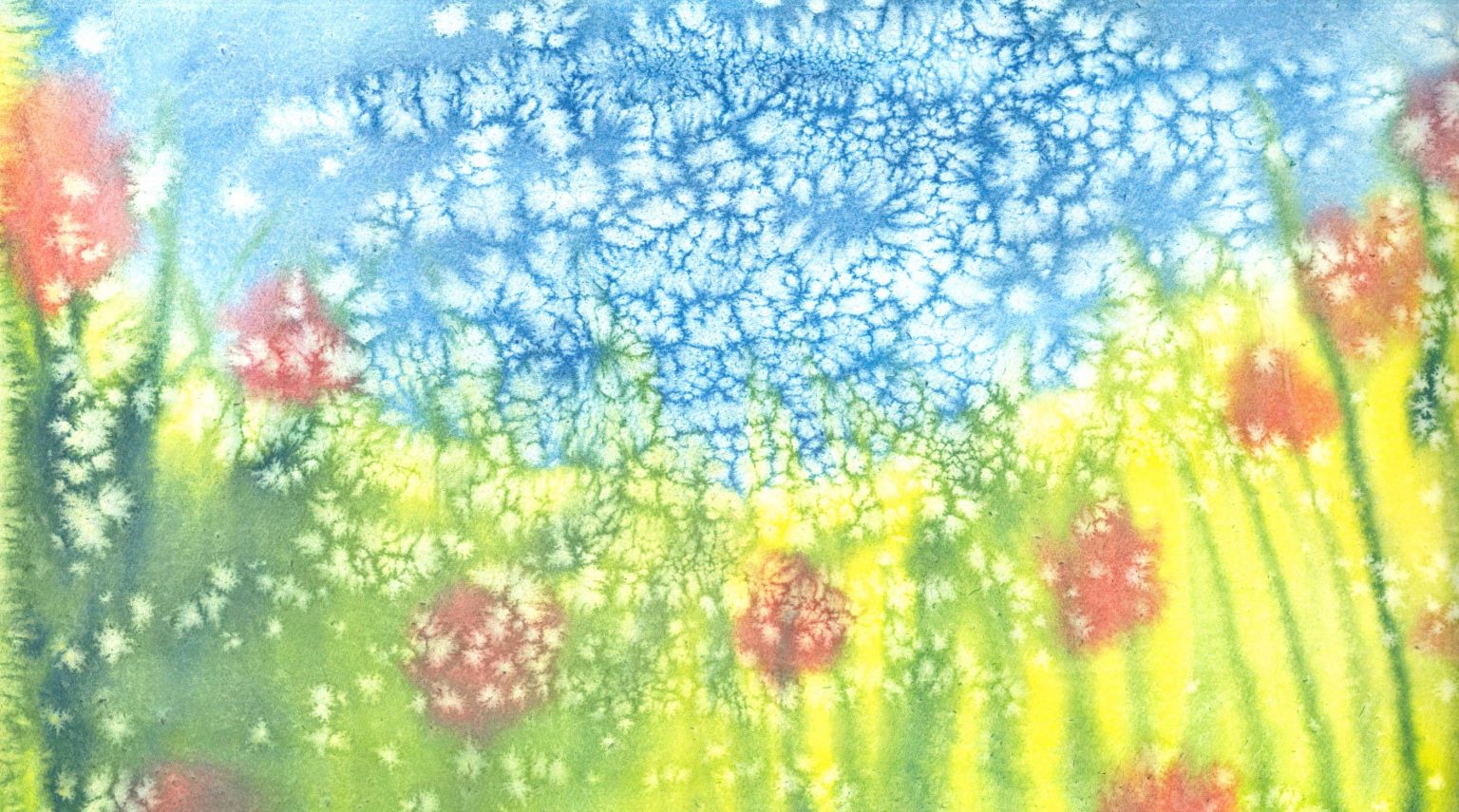 Prealpina<br>I colori dell’anima