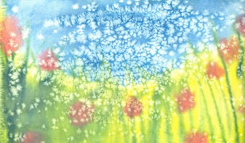 Prealpina<br>I colori dell’anima